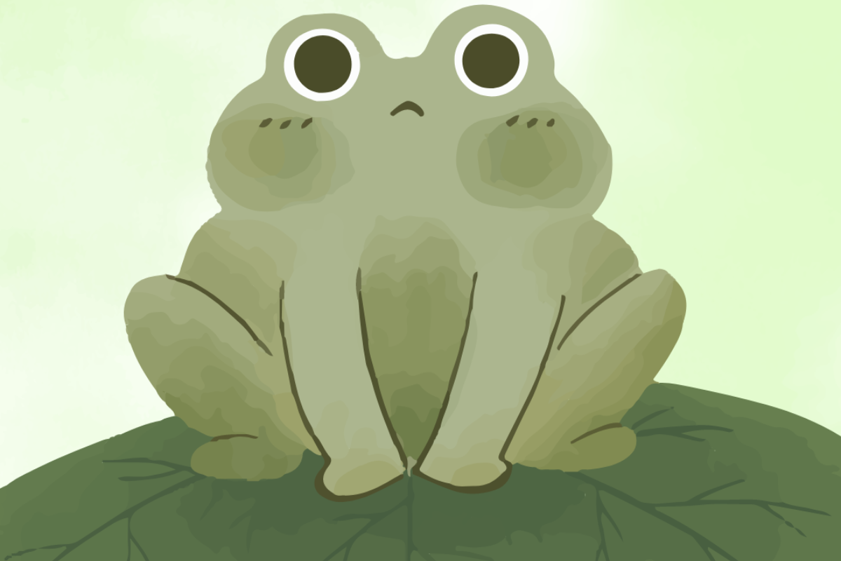 Can Frogs Snore?