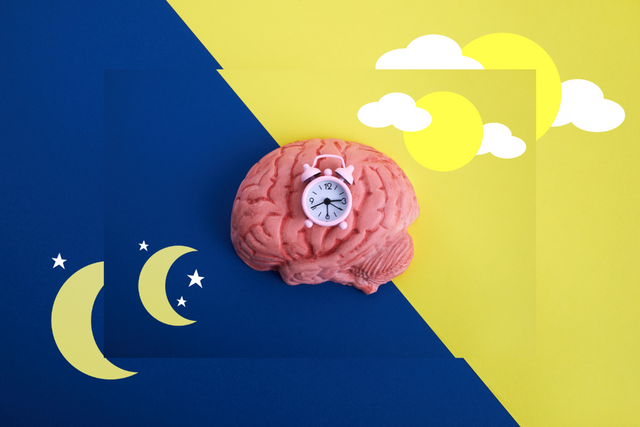 Dreams and Your Health: What’s the Link?