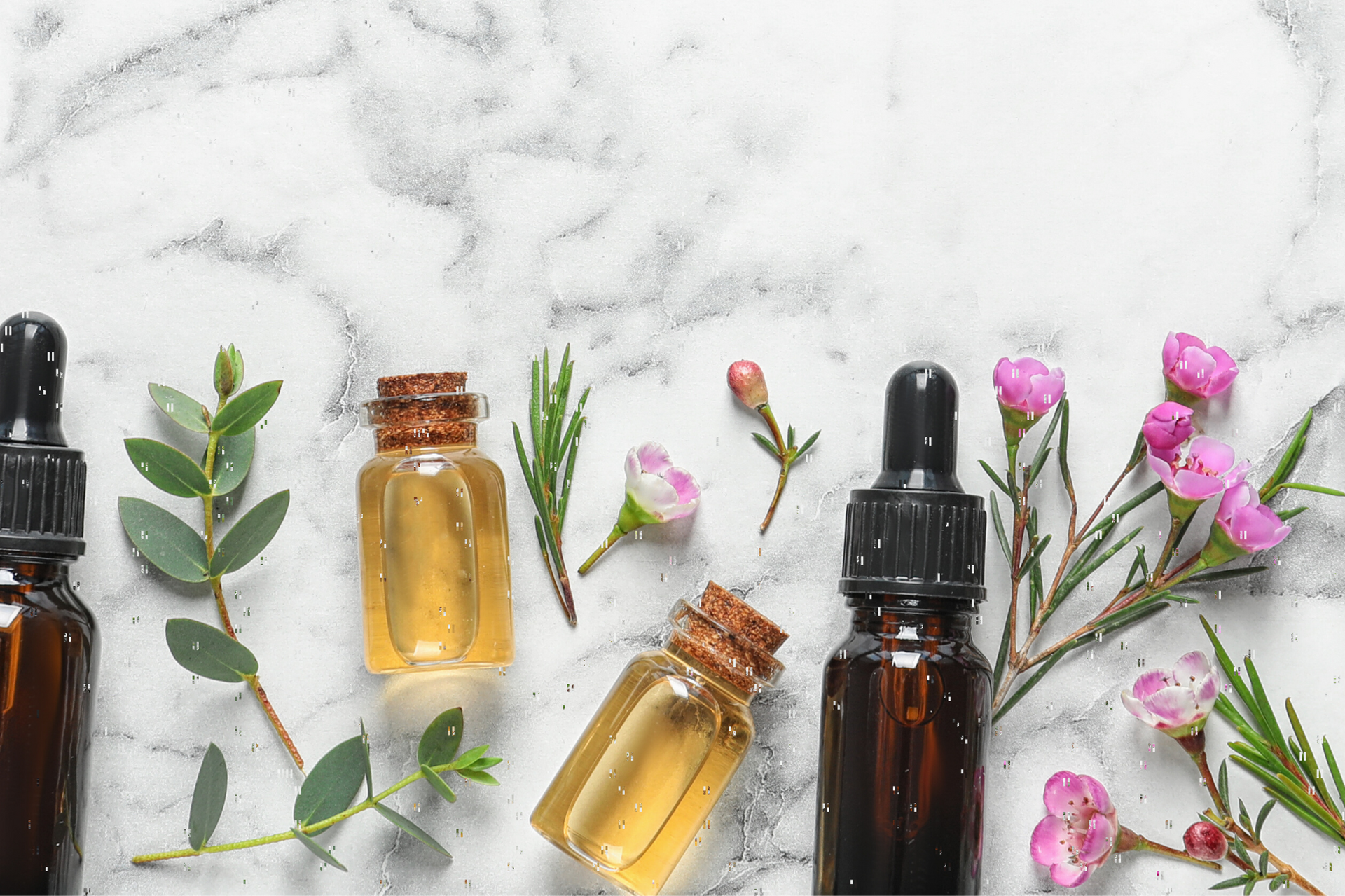 Can doTerra or Young Living essential oils help my snoring?