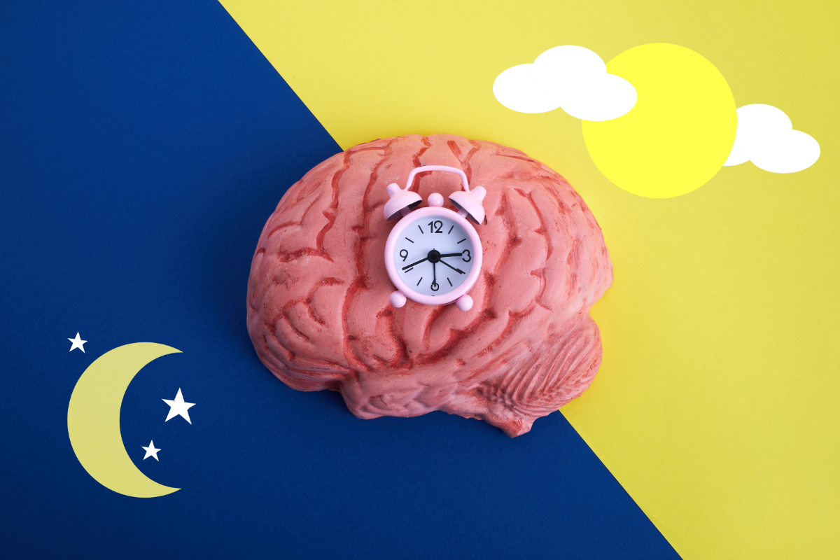 what are circadian rhythms and why do they matter