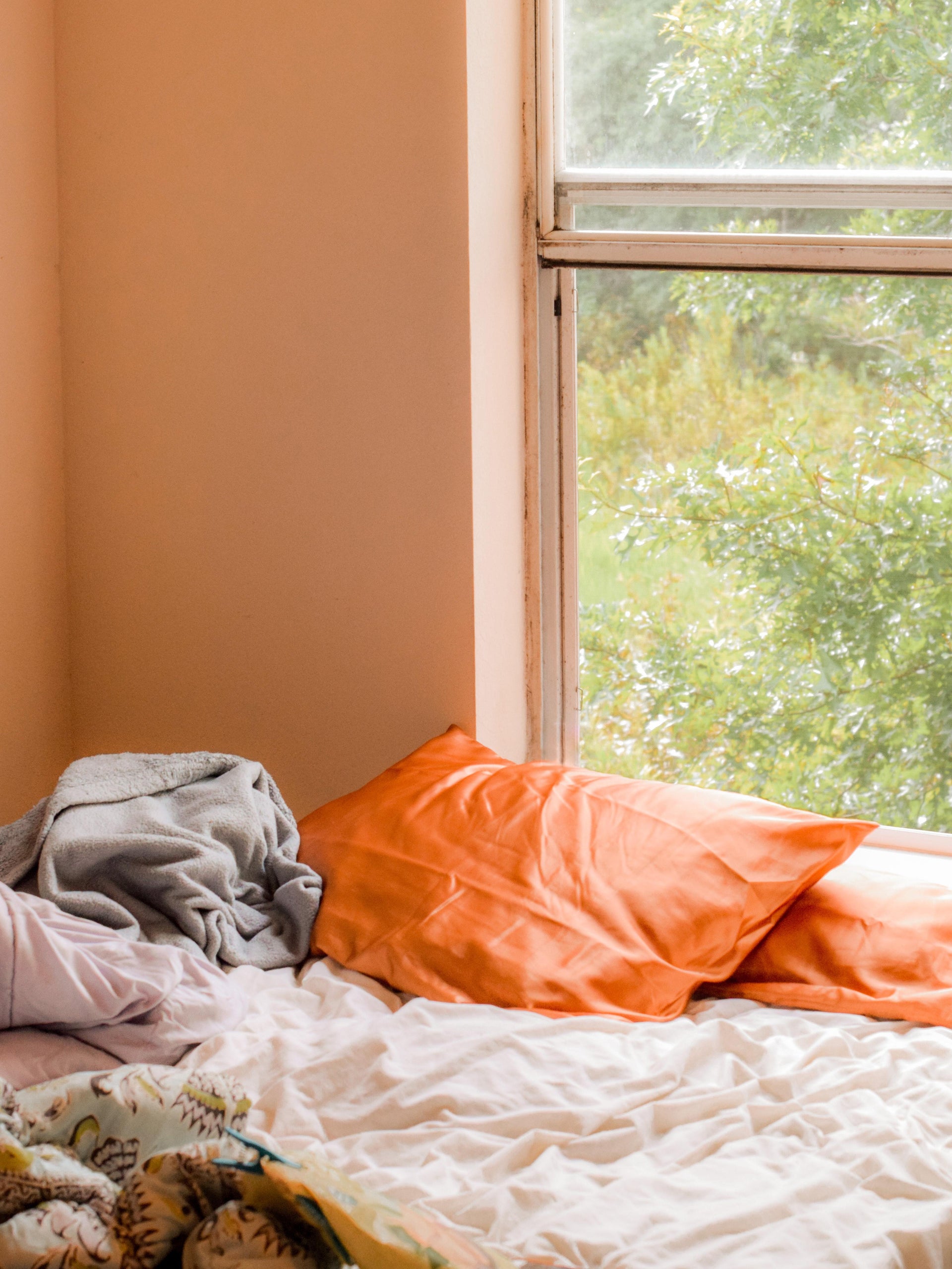 Night Owl vs. Early Bird: Which is Better?